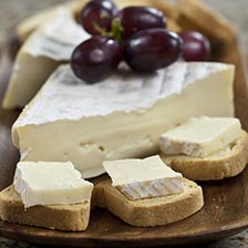 Soft Cheeses