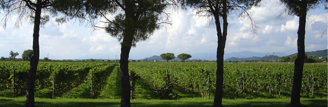 files/sonoro-estate-pic-ii__06__07.jpg