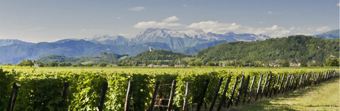 files/sonoro-estate-pic__07-2__02.jpg